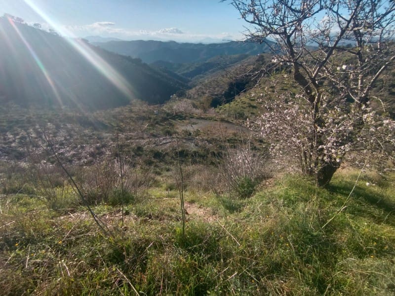 Grond te koop in Casabermeja - € 29.900 (Ref: 8781879)