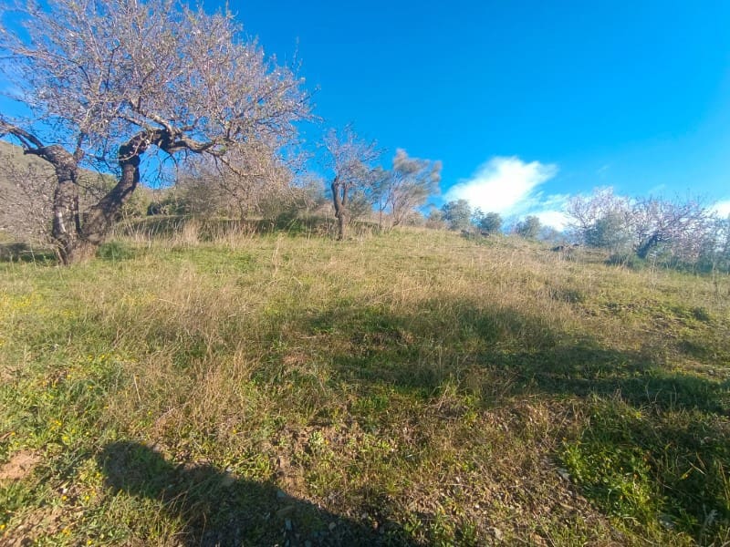 Grond te koop in Casabermeja - € 29.900 (Ref: 8781879)