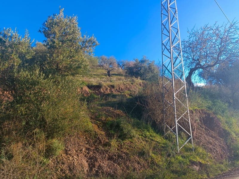 Grond te koop in Casabermeja - € 29.900 (Ref: 8781879)