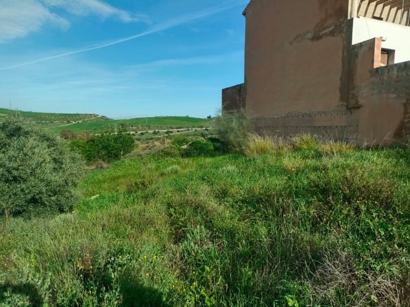 Bauplatz zu verkaufen in Casabermeja - 65.000 € (Ref: 8896877)