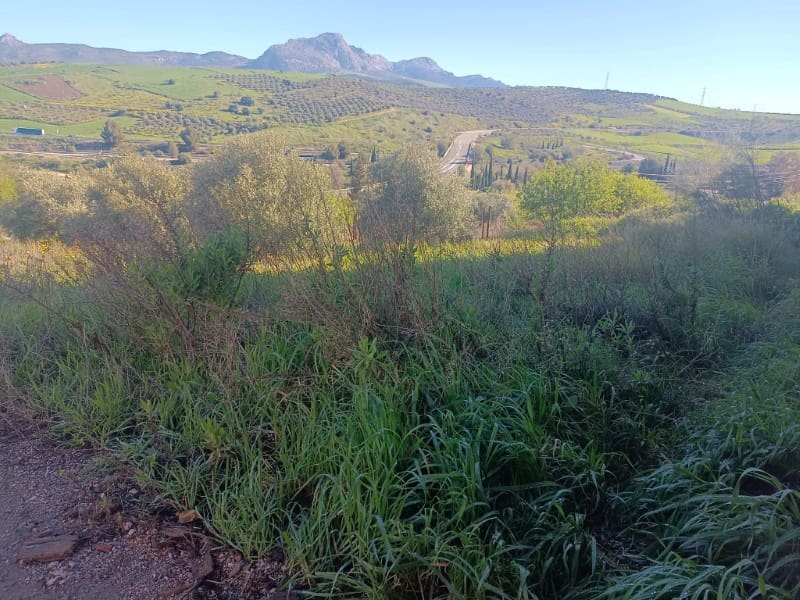 Bauplatz zu verkaufen in Casabermeja - 65.000 € (Ref: 8896877)