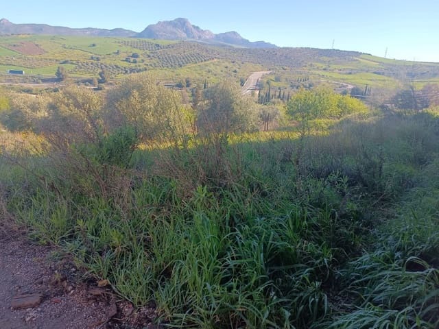 Bauplatz zu verkaufen in Casabermeja - 65.000 € (Ref: 8896877)