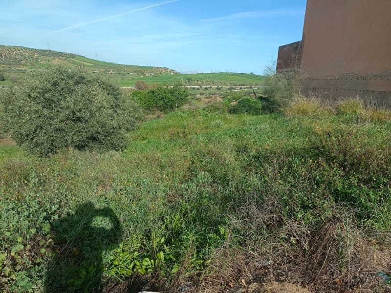 Bauplatz zu verkaufen in Casabermeja - 65.000 € (Ref: 8896877)