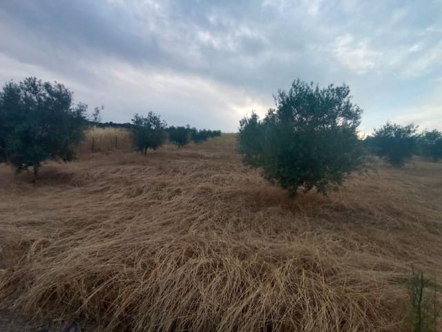 Grunde uden byggetilladelser til salg i Casabermeja - € 26.000 (Ref: 9085697)
