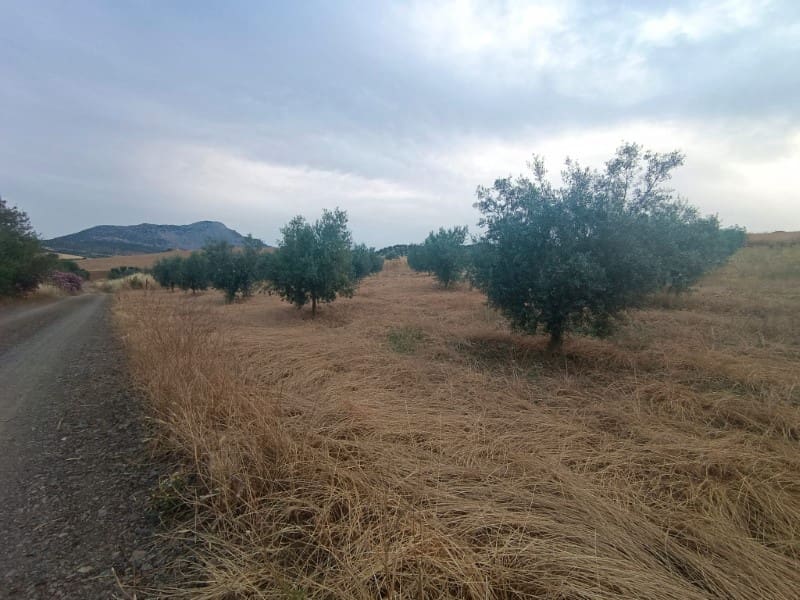 Grunde uden byggetilladelser til salg i Casabermeja - € 26.000 (Ref: 9085697)