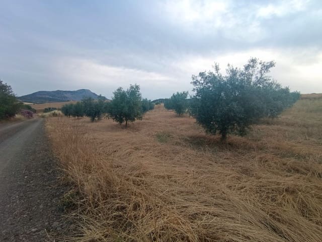 Mark till salu i Casabermeja - 26 000 € (Ref: 9085697)