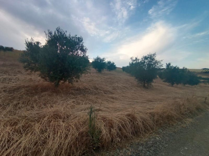 Grunde uden byggetilladelser til salg i Casabermeja - € 26.000 (Ref: 9085697)