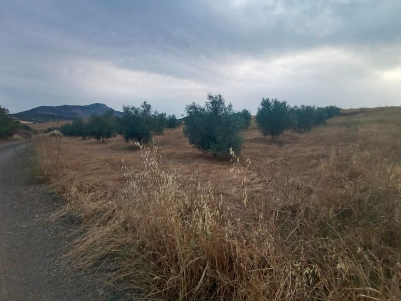 Grunde uden byggetilladelser til salg i Casabermeja - € 26.000 (Ref: 9085697)