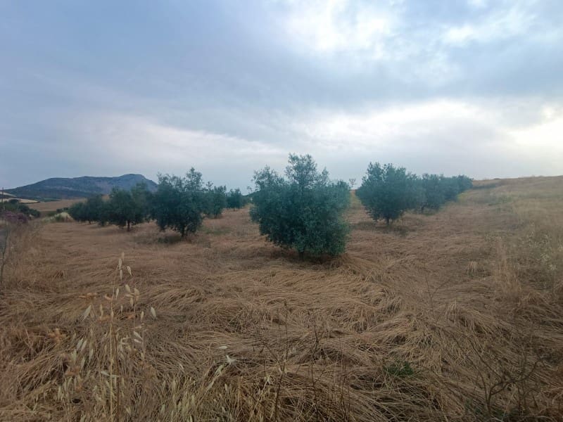 Grunde uden byggetilladelser til salg i Casabermeja - € 26.000 (Ref: 9085697)