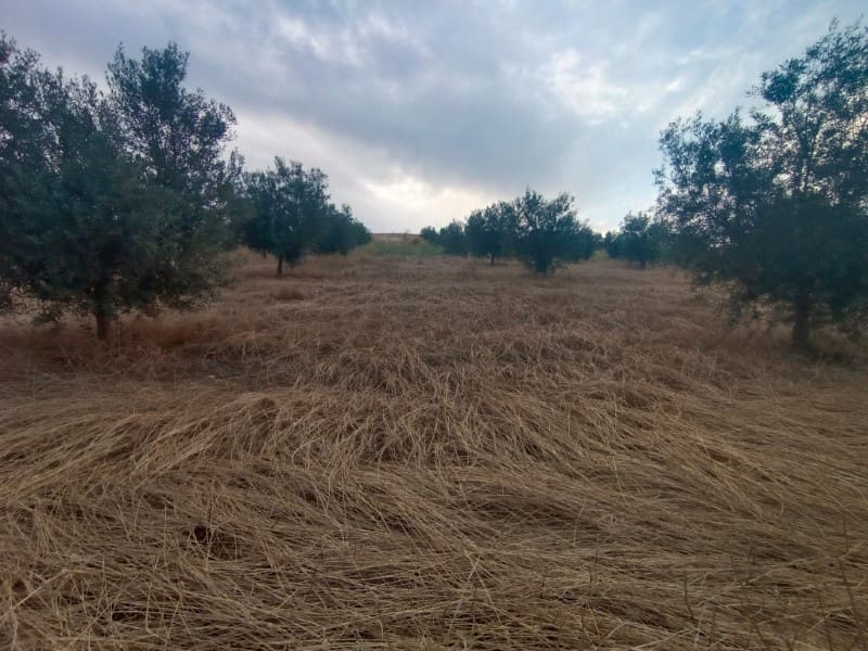 Grunde uden byggetilladelser til salg i Casabermeja - € 26.000 (Ref: 9085697)