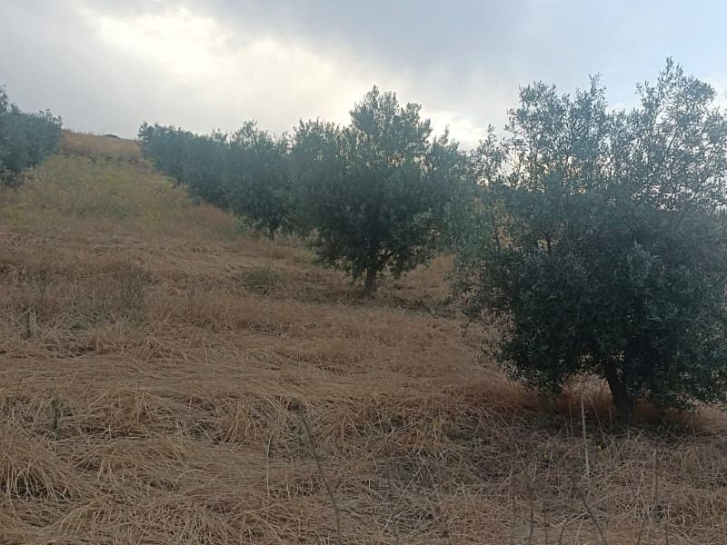 Grunde uden byggetilladelser til salg i Casabermeja - € 26.000 (Ref: 9085697)