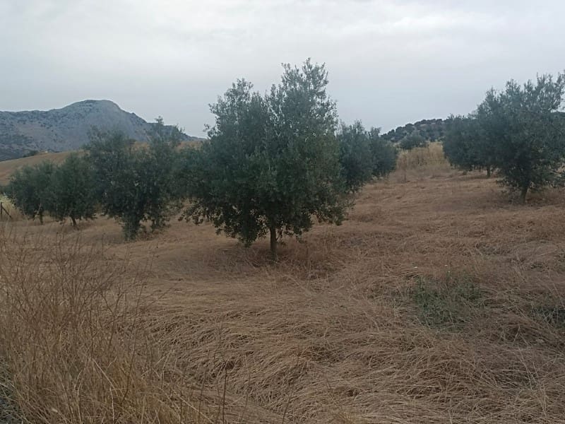 Grunde uden byggetilladelser til salg i Casabermeja - € 26.000 (Ref: 9085697)