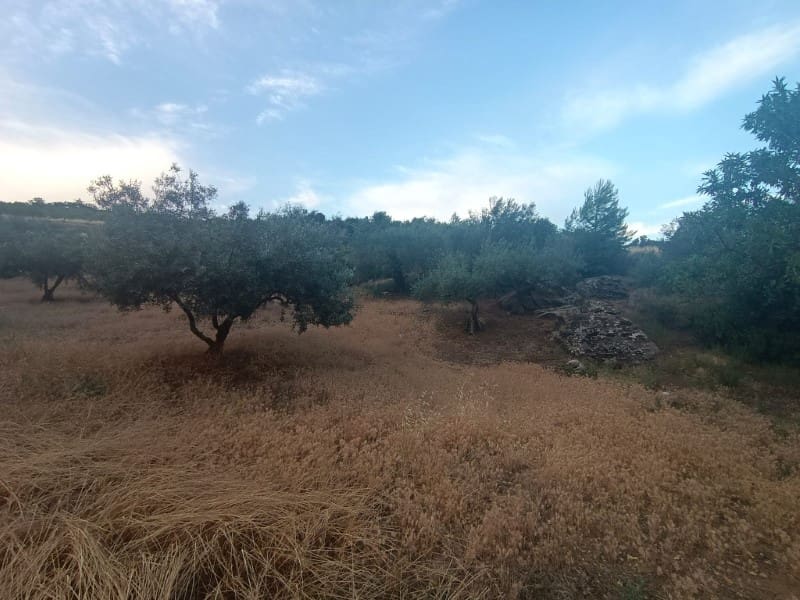 Grunde uden byggetilladelser til salg i Casabermeja - € 36.000 (Ref: 9085698)