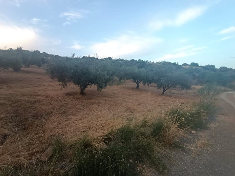 Grunde uden byggetilladelser til salg i Casabermeja - € 36.000 (Ref: 9085698)