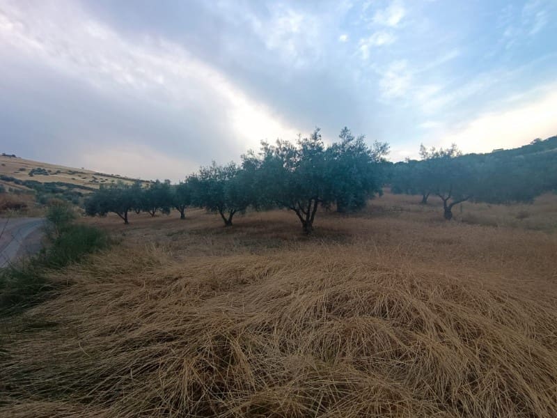 Grunde uden byggetilladelser til salg i Casabermeja - € 36.000 (Ref: 9085698)