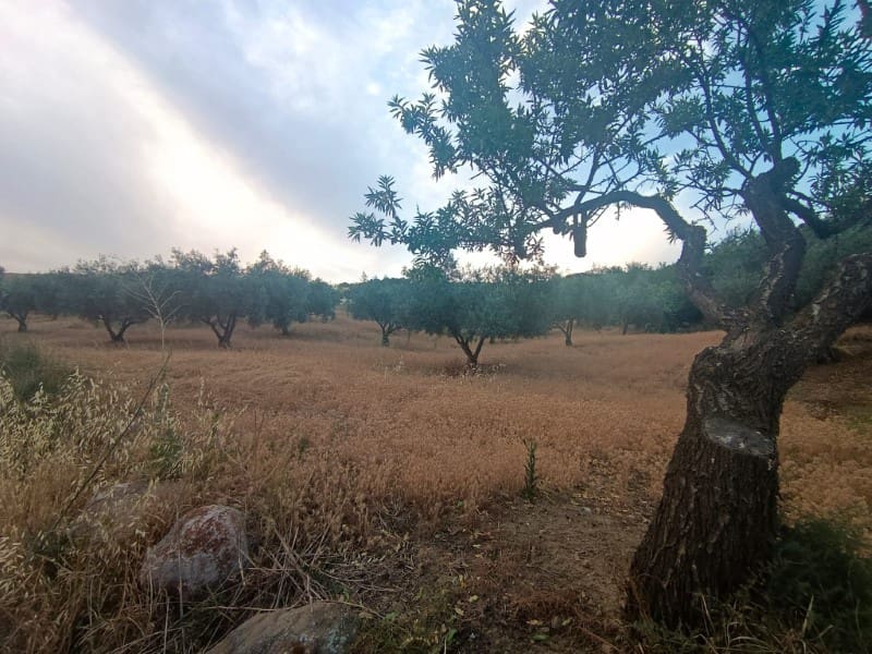 Grunde uden byggetilladelser til salg i Casabermeja - € 36.000 (Ref: 9085698)