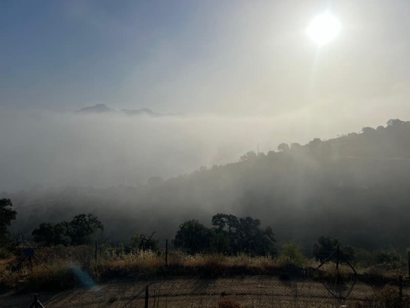 Finca/Country House for sale in Casabermeja - € 89,000 (Ref: 9372320)