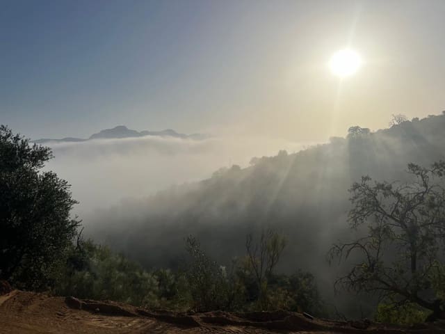 Finca/Herregård til salgs i Casabermeja - € 89 000 (Ref: 9372320)