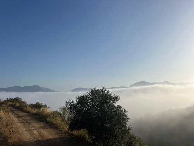 Finca/Herregård til salgs i Casabermeja - € 89 000 (Ref: 9372320)