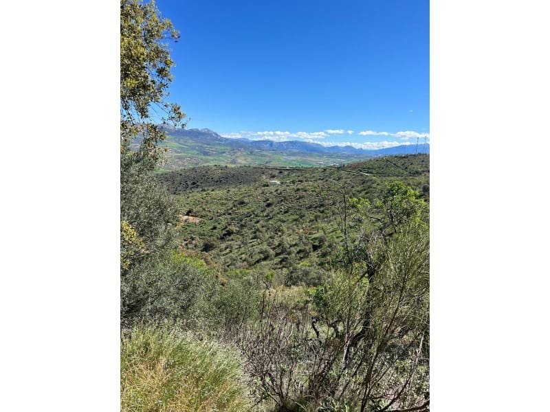 Finca/Country House for sale in Casabermeja - € 89,000 (Ref: 9372320)