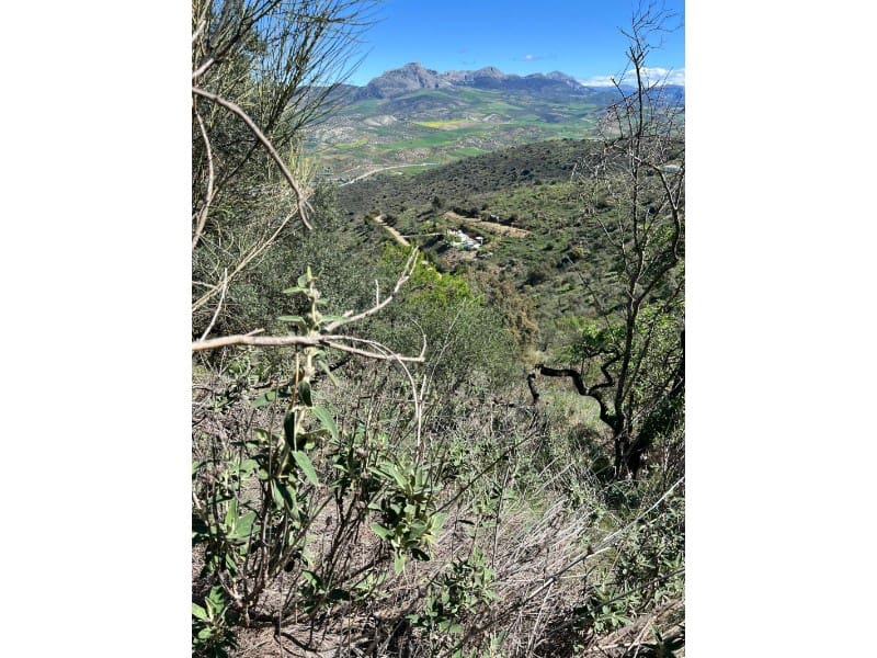 Finca/Country House for sale in Casabermeja - € 89,000 (Ref: 9372320)