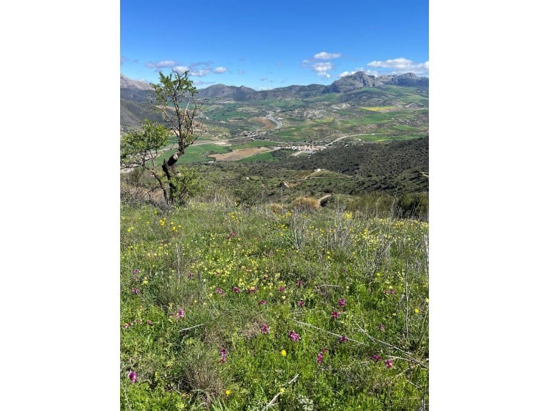 Finca/Country House for sale in Casabermeja - € 89,000 (Ref: 9372320)