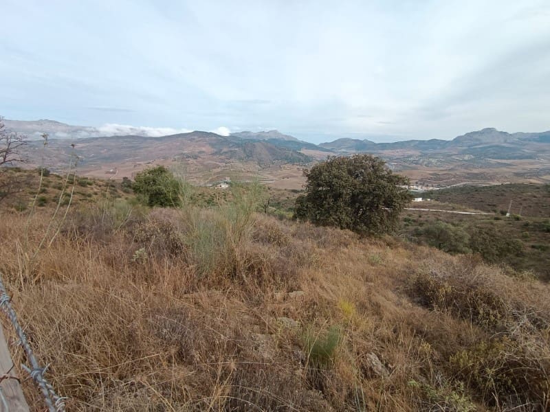 Finca/Country House for sale in Casabermeja - € 89,000 (Ref: 9372320)