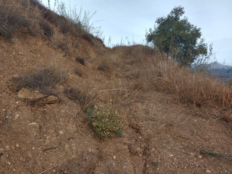 Finca/Country House for sale in Casabermeja - € 89,000 (Ref: 9372320)