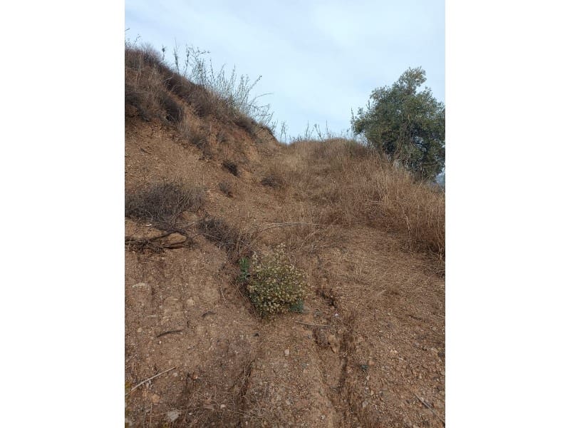 Finca/Country House for sale in Casabermeja - € 89,000 (Ref: 9372320)