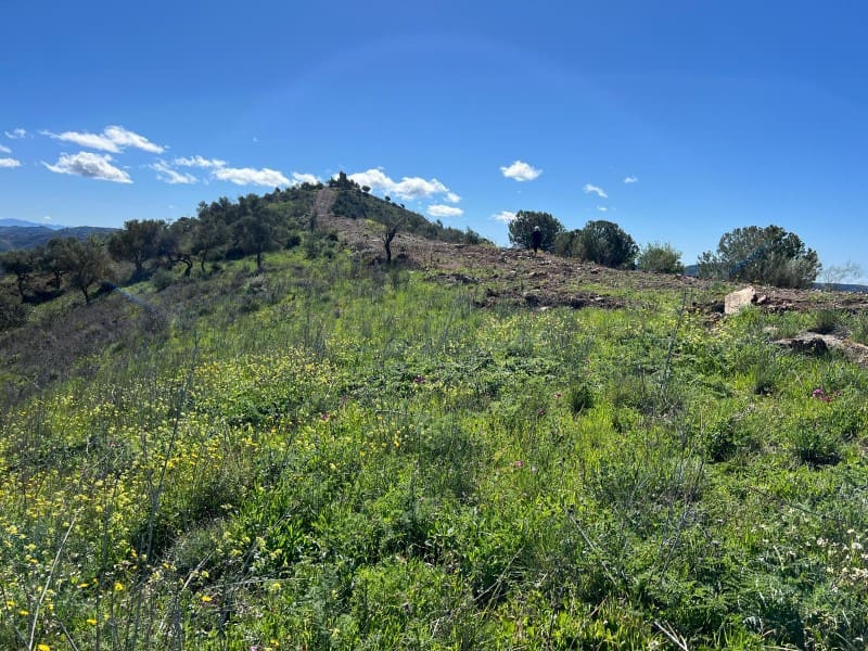 Finca/Country House for sale in Casabermeja - € 89,000 (Ref: 9372320)