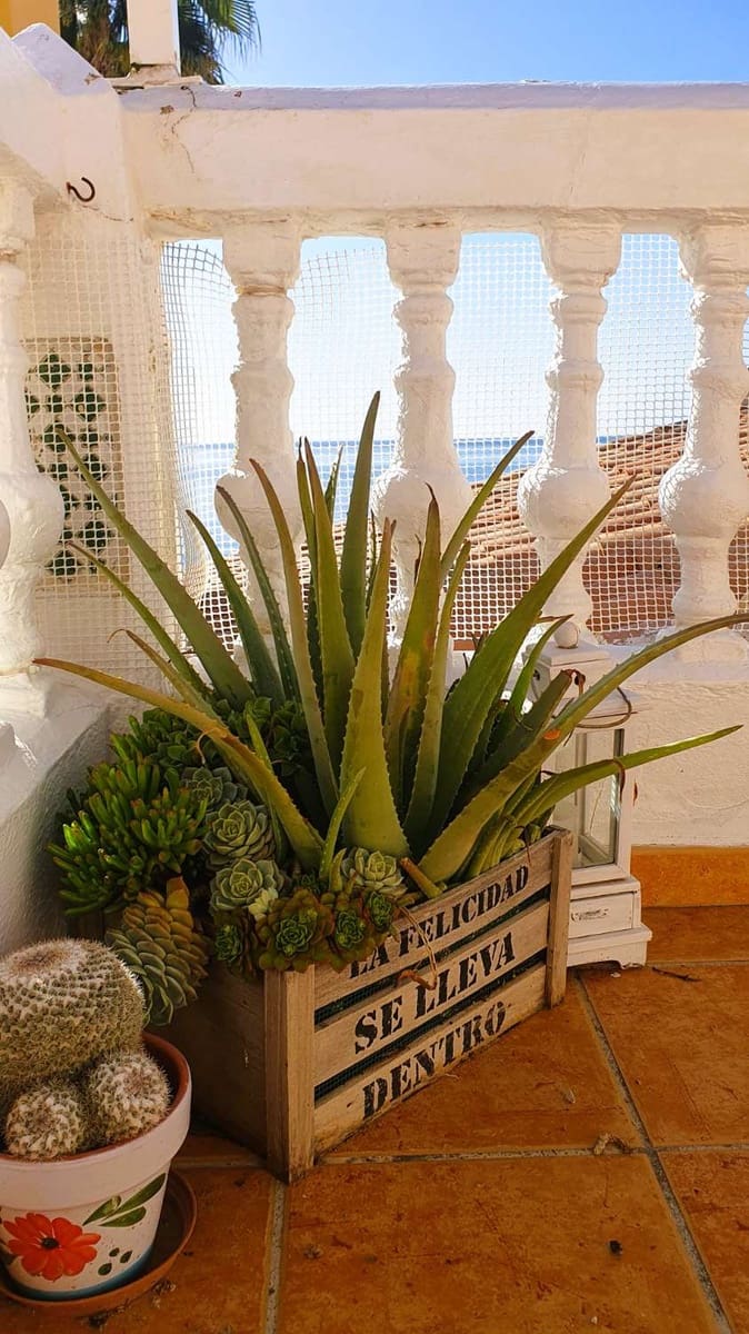 3 soveværelse Lejlighed til salg i El Morche med garage - € 389.000 (Ref: 8770954)