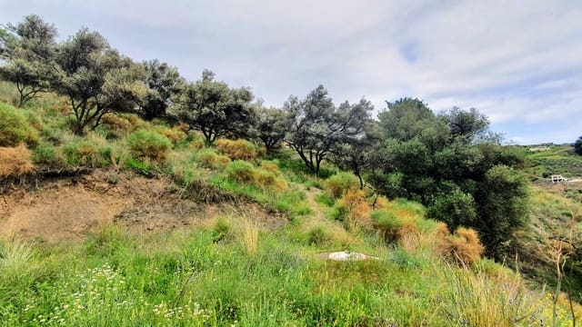 Tomt till salu i Frigiliana - 185 000 € (Ref: 8770973)