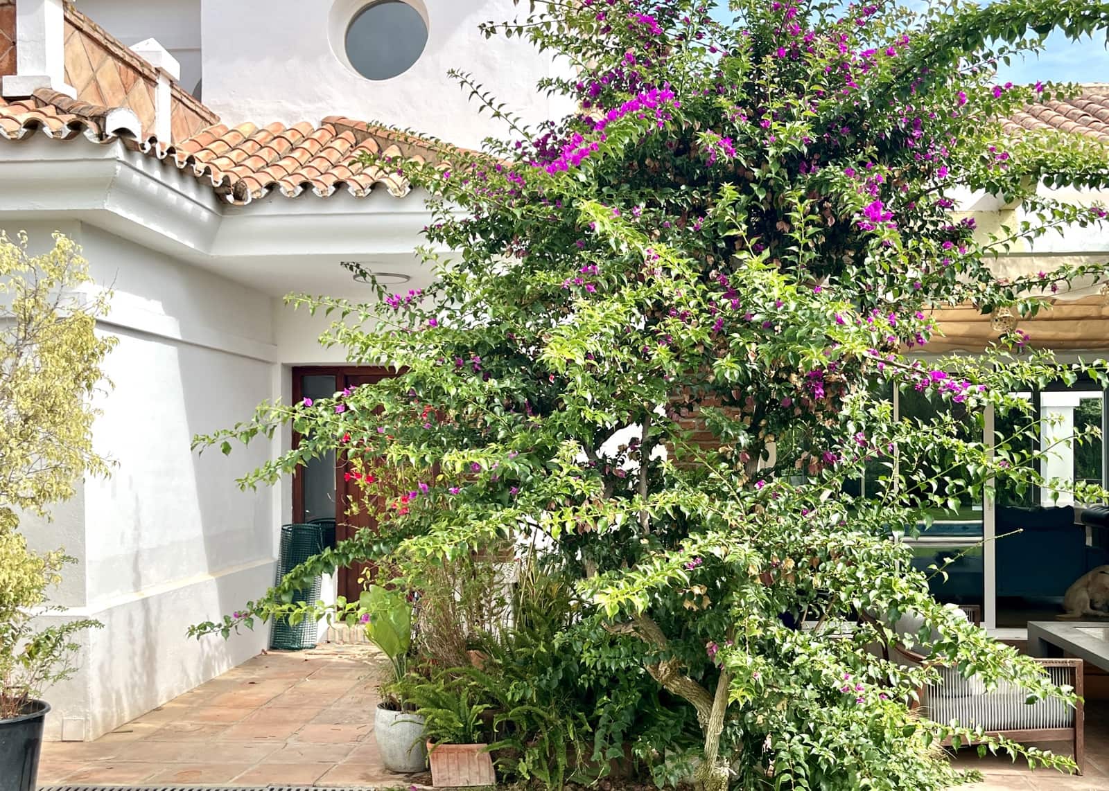 5 Zimmer Villa zu verkaufen in Sotogrande mit Pool Garage - 1.150.000 € (Ref: 8535613)