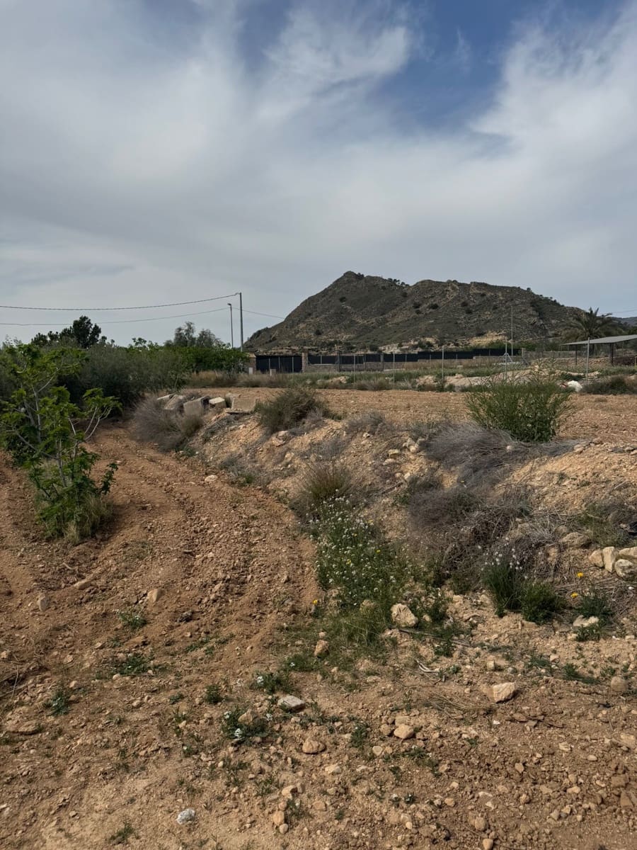 Ubebygd land til salgs i Abanilla - € 43 000 (Ref: 8929371)