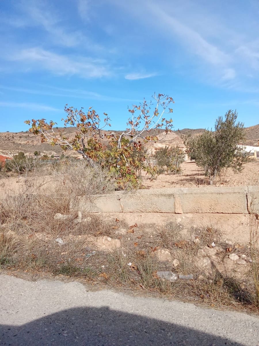 Ubebygd land til salgs i Abanilla - € 43 000 (Ref: 8929371)