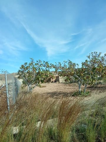 Undeveloped Land for sale in Abanilla - € 43,000 (Ref: 8929371)