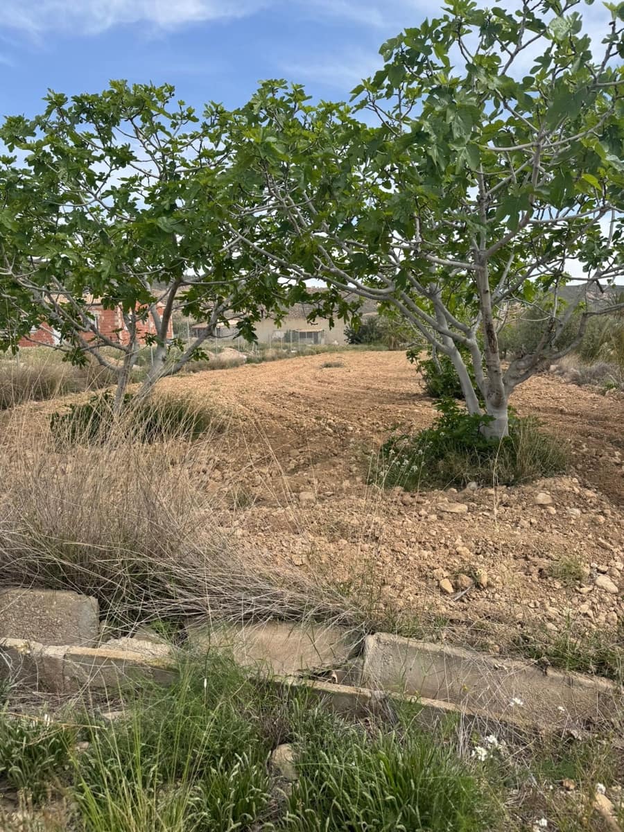 Ubebygd land til salgs i Abanilla - € 43 000 (Ref: 8929371)