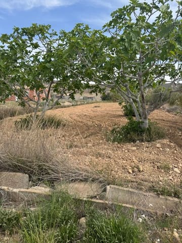 Undeveloped Land for sale in Abanilla - € 43,000 (Ref: 8929371)