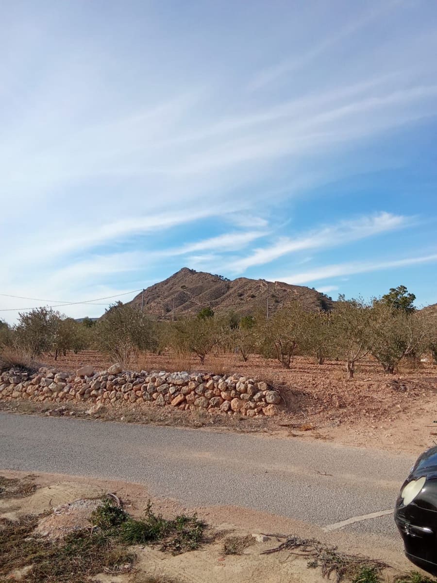 Grond te koop in Abanilla - € 33.000 (Ref: 8929372)