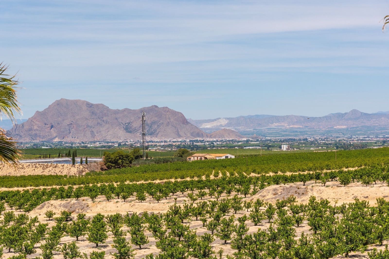 3 bedroom Villa for sale in Algorfa with pool garage - € 375,000 (Ref: 9473854)