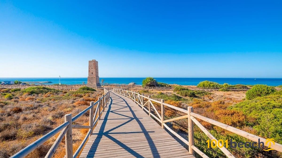 3 soveværelse Lejlighed til salg i Cabopino med swimmingpool garage - € 1.150.000 (Ref: 7186358)