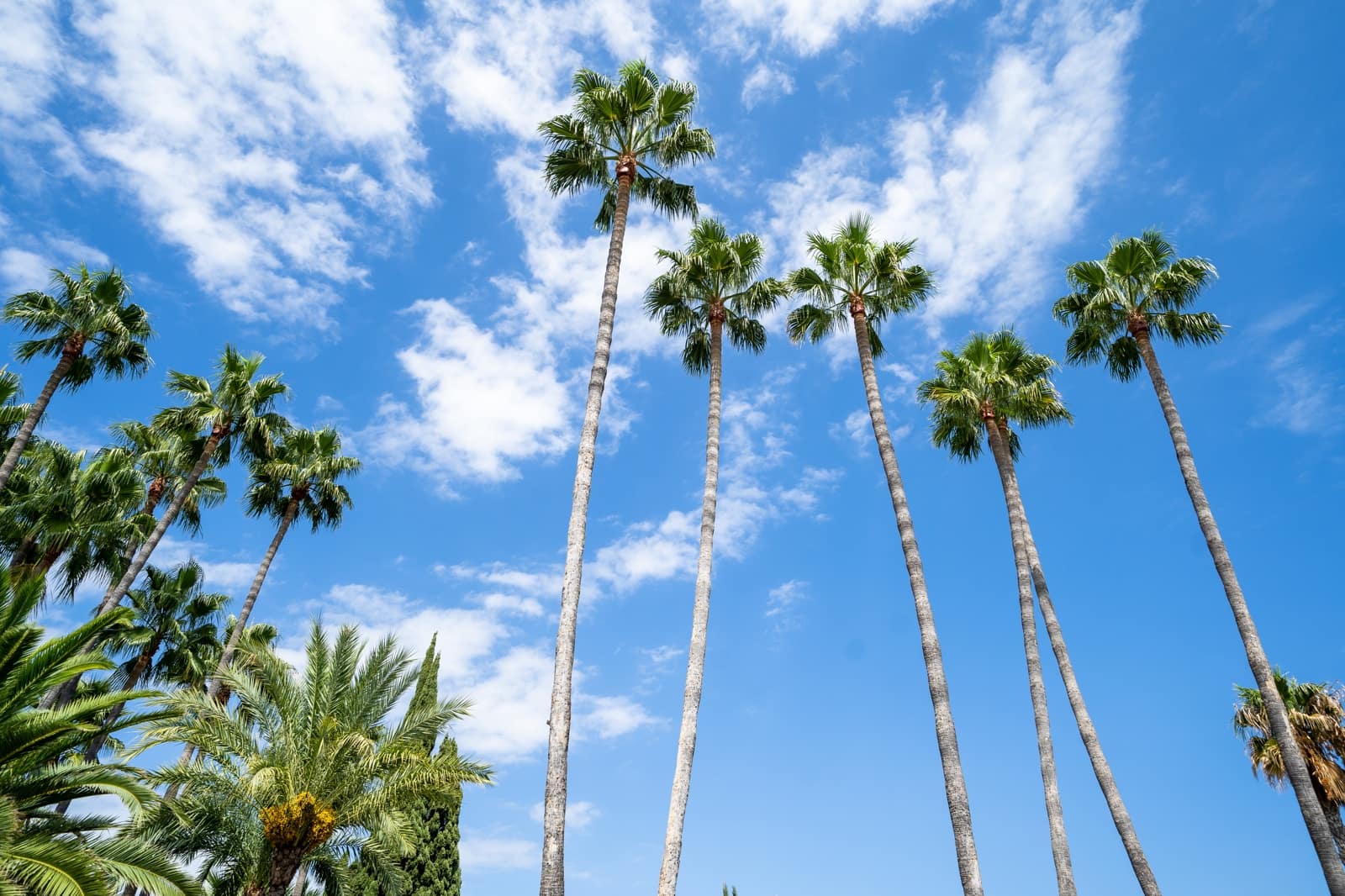 4 soverom Villa til salgs i Benahavis med svømmebasseng garasje - € 3 450 000 (Ref: 7869064)