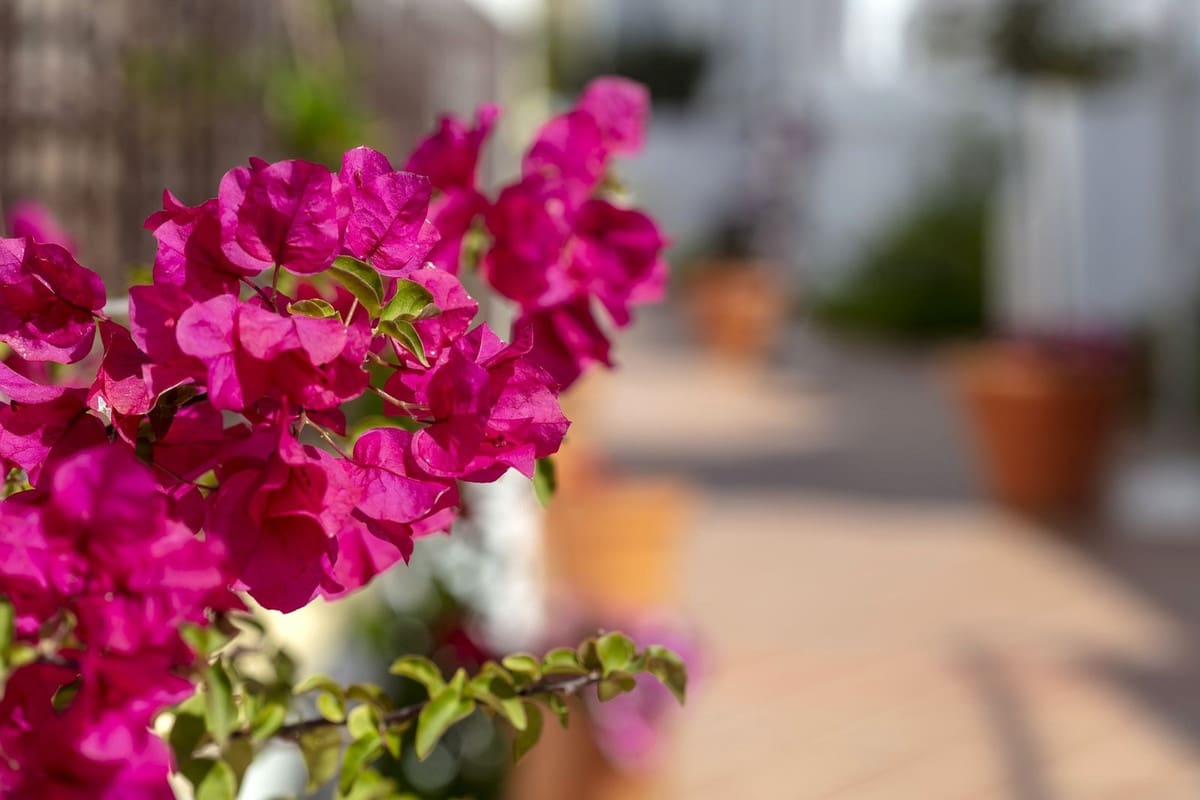3 bedroom Apartment for sale in Nueva Andalucia with pool garage - € 648,000 (Ref: 9900012)
