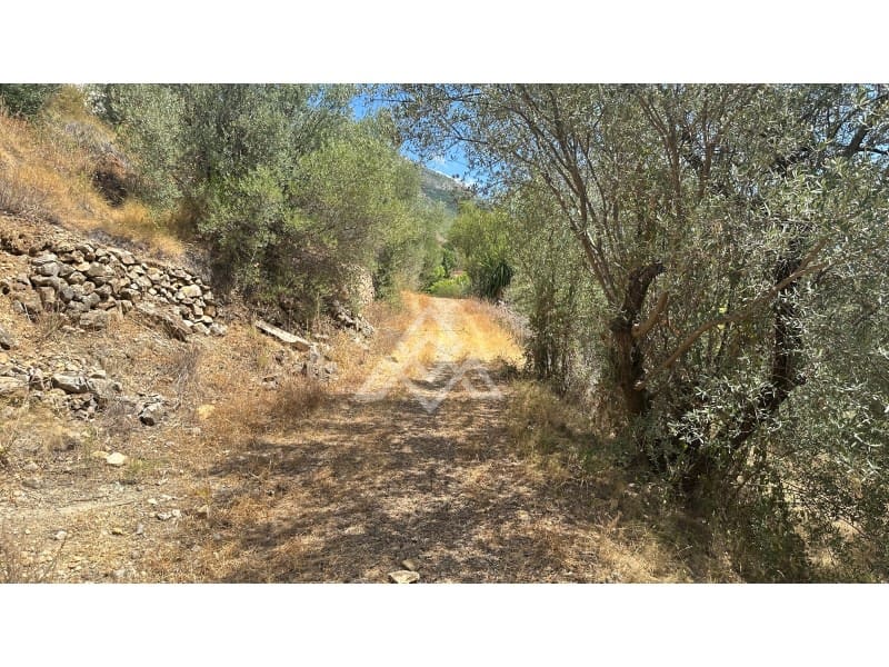 Area Edificabile in vendita in Mijas - 550.000 € (Rif: 10030499)