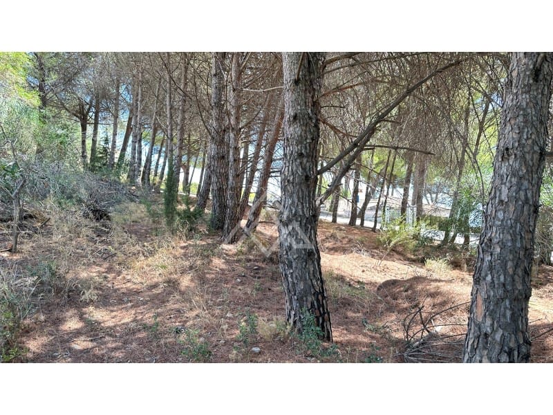 Area Edificabile in vendita in Mijas - 550.000 € (Rif: 10030499)