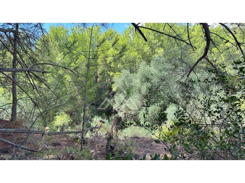 Area Edificabile in vendita in Mijas - 550.000 € (Rif: 10030499)