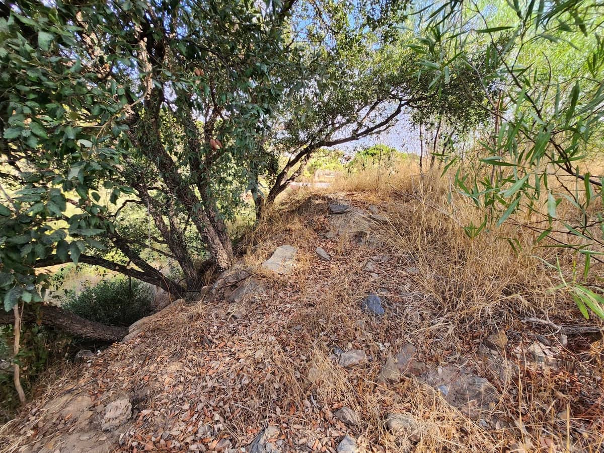 8 bedroom Villa for sale in La Cala de Mijas, Mijas € 1,895,000 (Ref