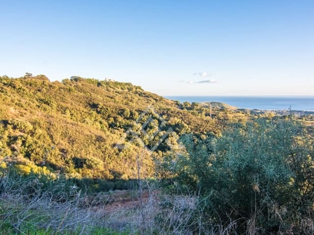 Mark till salu i Ojen - 9 000 000 € (Ref: 8799760)