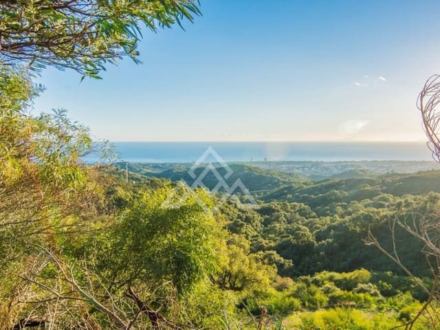 Mark till salu i Ojen - 9 000 000 € (Ref: 8799760)