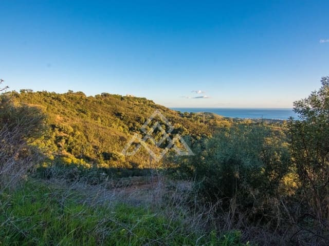 Mark till salu i Ojen - 9 000 000 € (Ref: 8799760)